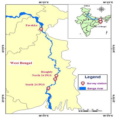 Hilsa fisheries in India: a socio-economic analysis of fishers in deltaic Ganga region of river Hooghly
